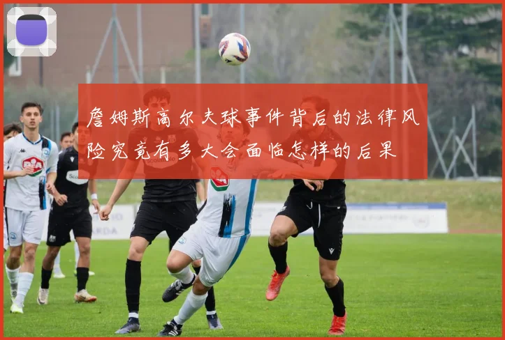 詹姆斯高尔夫球事件背后的法律风险究竟有多大会面临怎样的后果