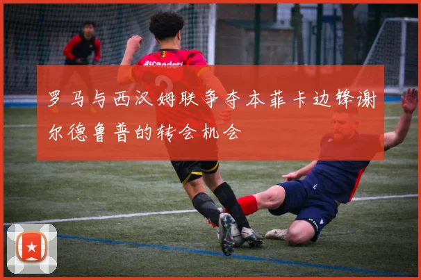 罗马与西汉姆联争夺本菲卡边锋谢尔德鲁普的转会机会